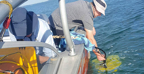 Deploying a portable towed Sub-bottom profiler (credit M. McNeil).